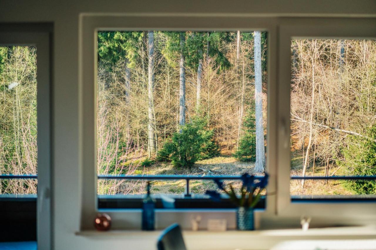 Ferienwohnung Fichte Браунлаге Экстерьер фото